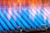 Watcombe gas fired boilers